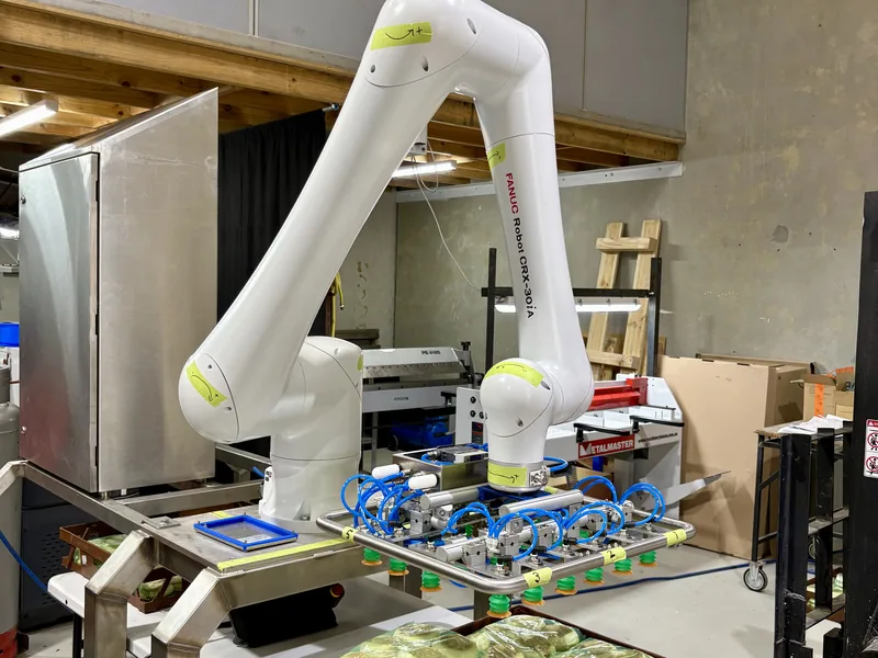 Collaborative robot arm with vacuum gripper on a packing cell